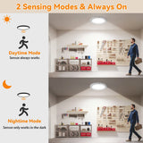 🔋Rechargeable Motion Sensor LED Ceiling Light