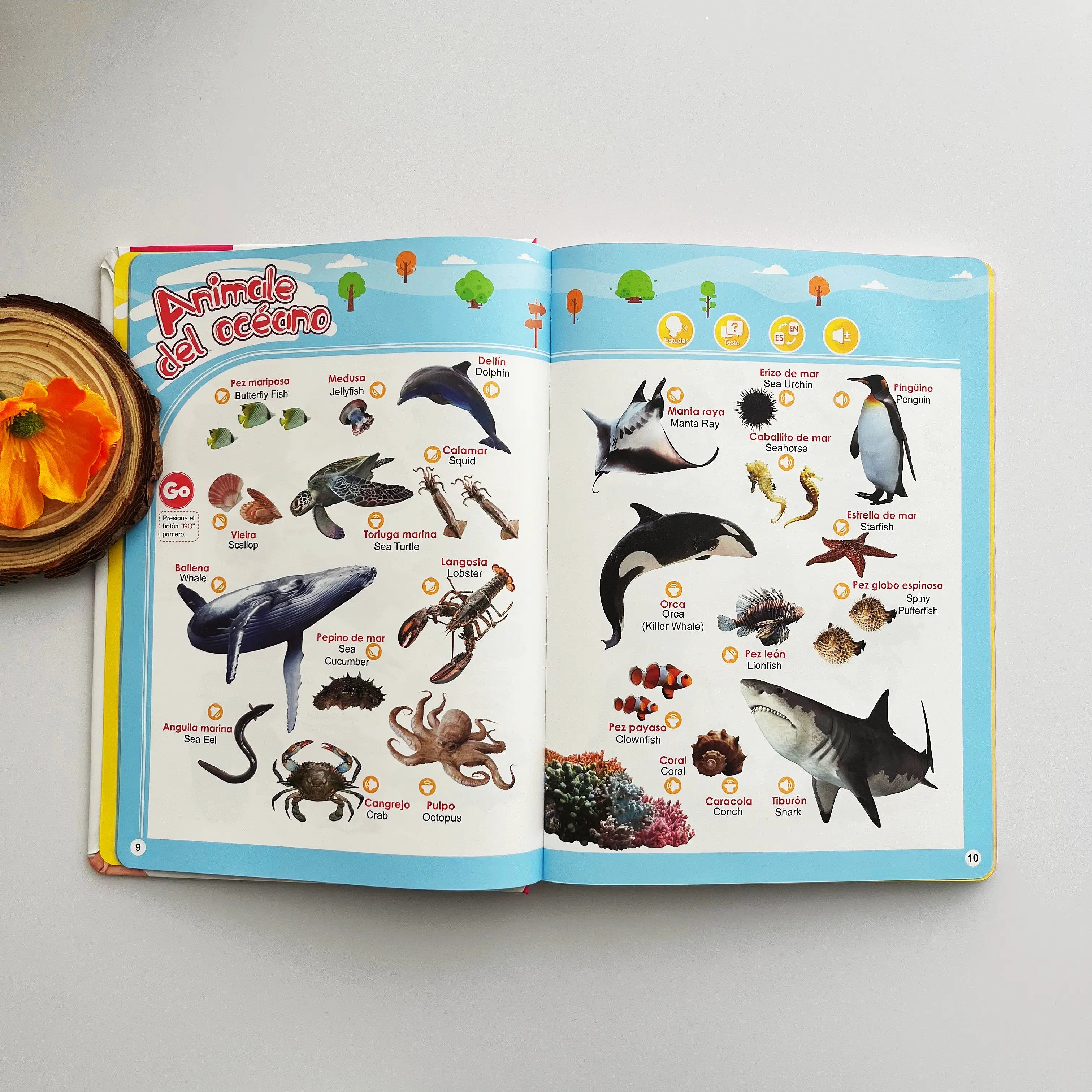 📚 Bilingual Sound Book | Interactive Educational Toy for Kids 1–6