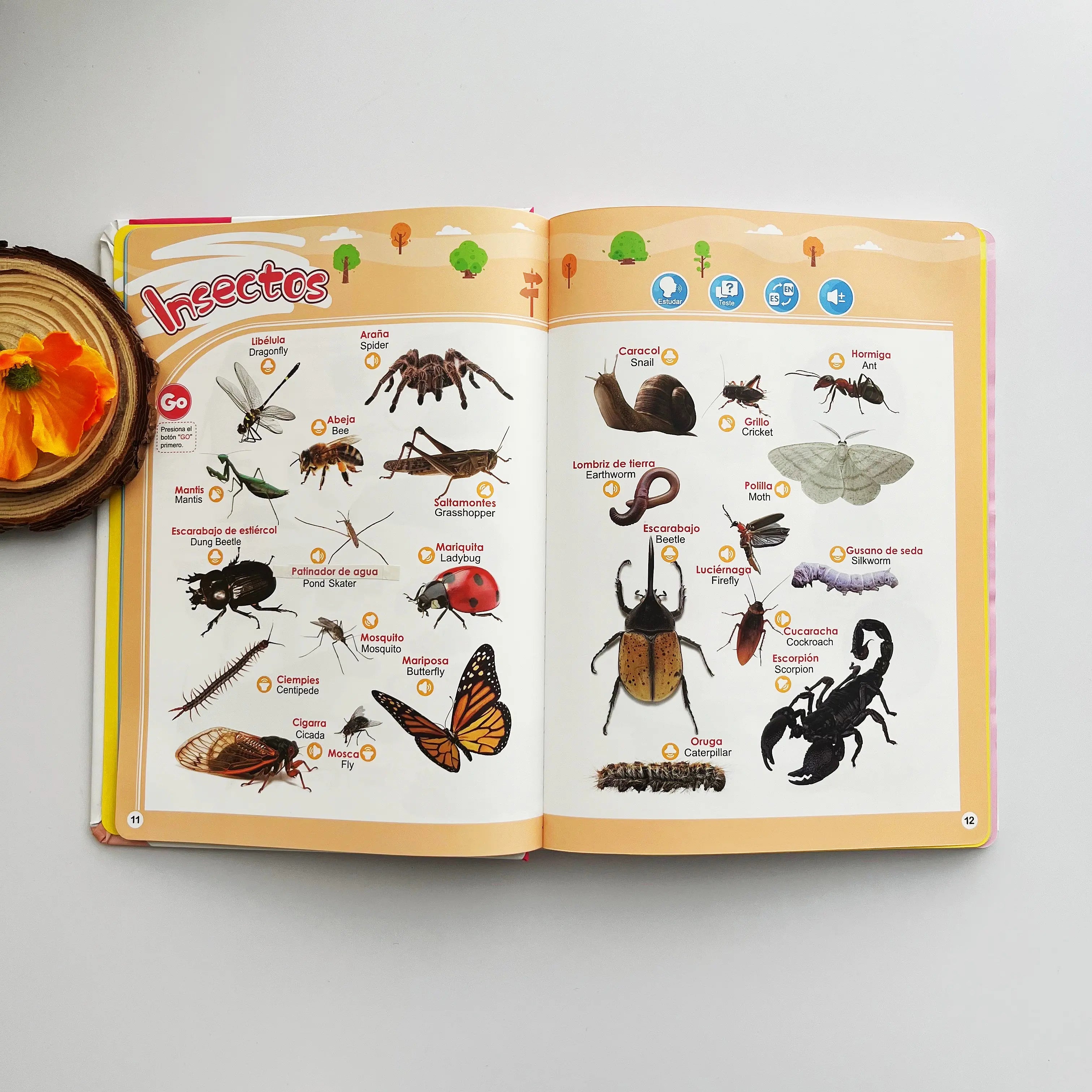 📚 Bilingual Sound Book | Interactive Educational Toy for Kids 1–6